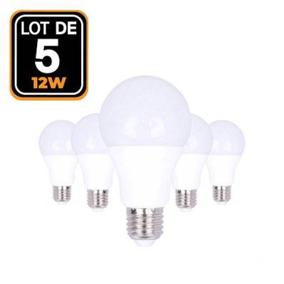 5 ampoules LED E27 A60 12W 220V 6000K blanc froid Haute Luminosité - 1193 - 7061115417315