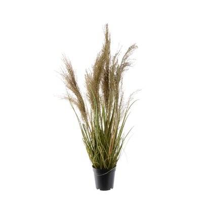 Tiges d'herbe artificielles avec plumes blanches 85 cm - Jardideco - 16474 - 8718532301077