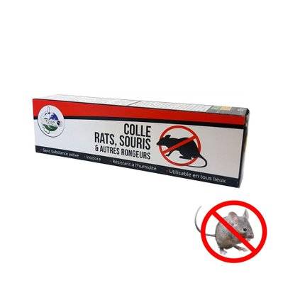 Colle anti rat et anti souris - TER021 - 3760267060465