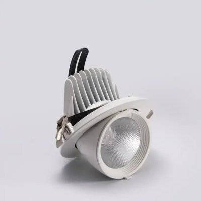 Spot LED Rond Encastrable Orientable BLANC 12W - Blanc Froid 6000K - 8000K - SILAMP - Fi56-10W_WH - 7426924045430