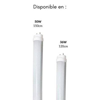 Tube Néon LED 120cm T8 36W (Pack de 5) - Blanc Chaud 2300K - 3500K - SILAMP