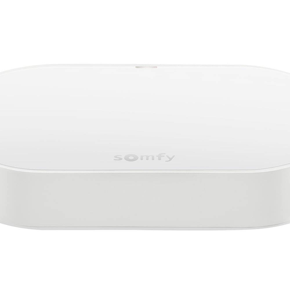 Kit de connectivité Somfy 1870755 - Compatible avec Google home et