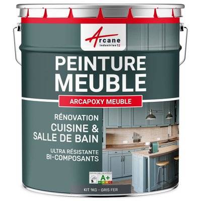 Peinture pour Meuble Cuisine et Salle de Bain - ARCAPOXY-1 kg (jusqu'à 12 m² en 2 couches) Gris fer - RAL 7011 - 261_25814 - 3700043419216