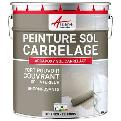 Peinture Sol Carrelage - Résine Carrelage - ARCAPOXY-2.5 kg (jusqu'à 12.5 m² en 2 couches) Télégris 4 - RAL 7047 - 260_26052 - 3700043419803