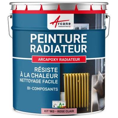 Peinture Radiateur fonte acier alu - PEINTURE RADIATEUR-1 kg (jusqu'à 5 m² en 2 couches) Rose Clair - RAL 3015 - 302_26911 - 3700043411852