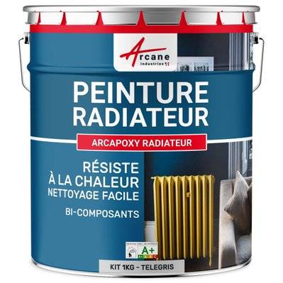 Peinture Radiateur fonte acier alu - PEINTURE RADIATEUR-1 kg (jusqu'à 5 m² en 2 couches) Télégris 4 - RAL 7047 - 302_26913 - 3700043411869