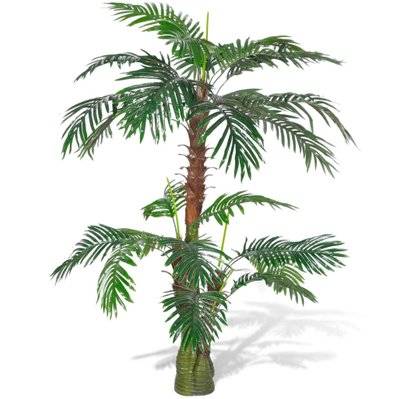 Terreau pour palmier : lequel choisir ? - Jardindeco
