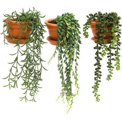 Plantes artificielles en pot terracotta (Lot de 3) - 52714 - 3700866343521