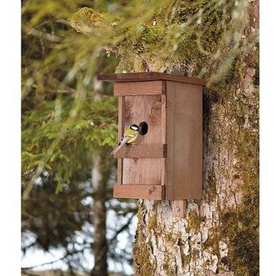 Nichoir à oiseaux en bois massif verni - 6095 - 9003117069251