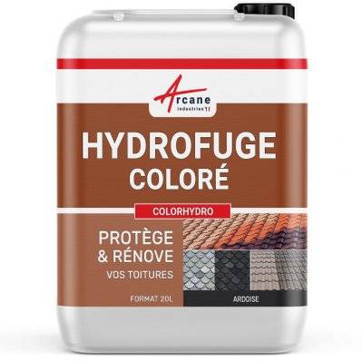 Hydrofuge Coloré Tuile et Toiture - COLORHYDRO-20 L (jusqu à 80m²) Ardoise - RAL 9004 - 240_25144 - 3700043417625