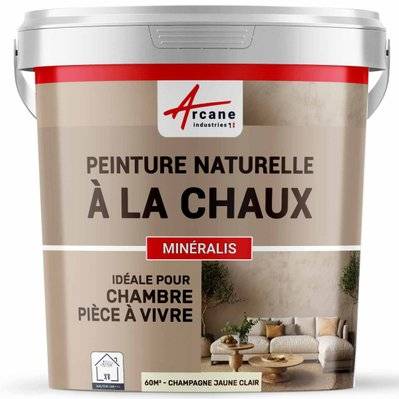 PEINTURE CHAUX NATURELLE - MINERALIS-30 m² (5 kg en 1 couche) Champagne Jaune Clair - 159_24584 - 3700043431256