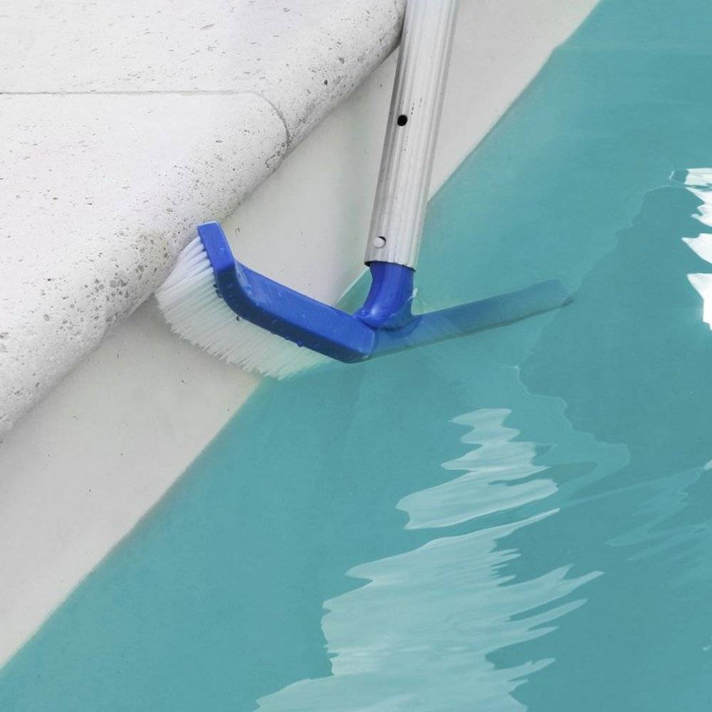 Tête de brosse paroi 25 cm bleu pour piscine adaptable sur manche standard  ou télescopique - Linxor