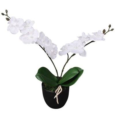 Orchidée pot blanc H.65 cm Blanc / Vert - Plante artificielle et mini serre  BUT