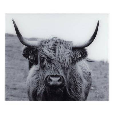 Fond de hotte en verre trempé Highland Cattle - Longueur 60 cm x Largeur 50 cm - 399538 - 4008838334768