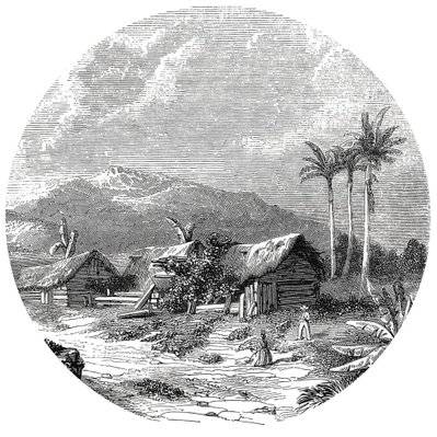 WallArt Papier peint cercle Landscape of Guadeloupe 190 cm - 440369 - 8719992629282