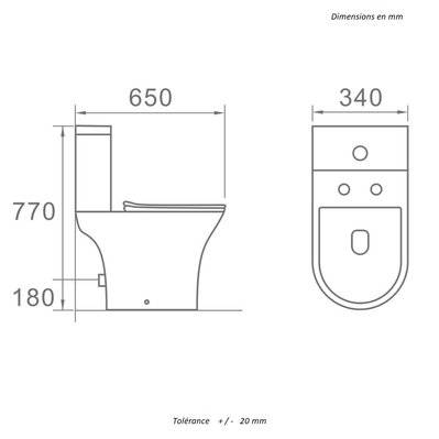 Toilette WC à poser CLORINDA en céramique - TLT-2014W-B/TLT-2014W-C - 3760341613877
