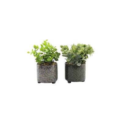 Plante succulente artificielle en pot émaillé (Lot de 2) - 59074 - 3700866352479