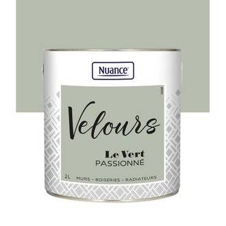 Peinture intérieure multi-supports Velours - Vert passionne - 2L