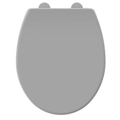 Abattant WC en thermodur - fermeture progressive et déclipsable DOLCEO gris  mat - Brico Privé