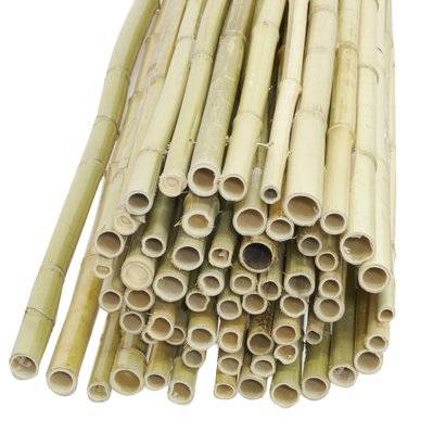 Canisse en bambou 1.8m x 1.5m - 61157 - 3238920831061
