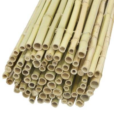 Canisse en bambou 1m x 1.8m - 61153 - 3238920831054