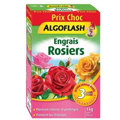 Engrais rosiers action prolongée Algoflash - 9353 - 3167770205480