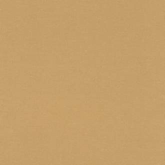 Papier peint vinyle expanse intissé DENZO - doré - 53 cm x 10 m