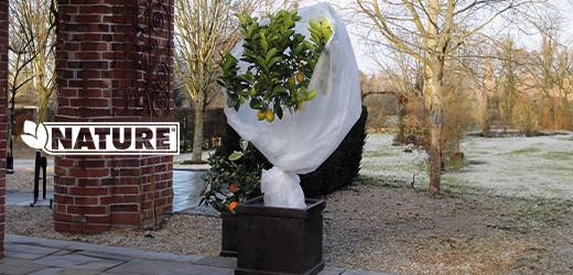 HOUSSES D'HIVERNAGE, SERRES ET VOILES